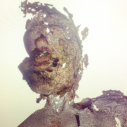 Interrupted 3D scan by artist Paul Coombs